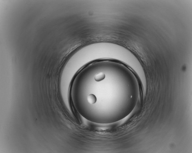 X0000095540360200712211353