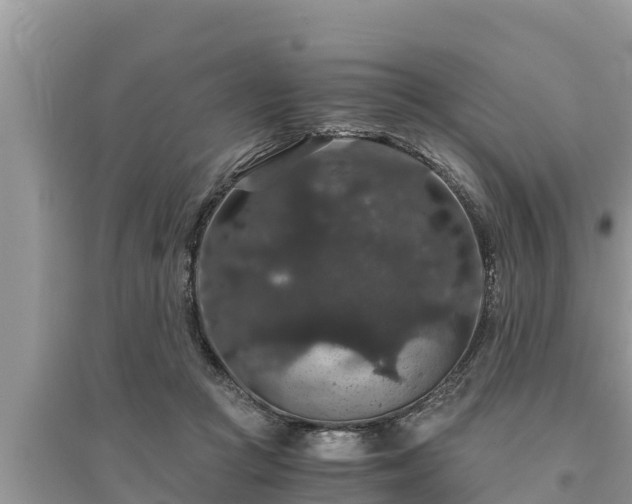 X0000095540361200712211353