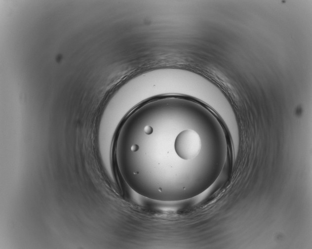 X0000095540362200712211353