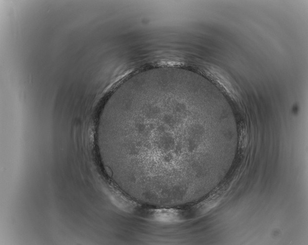 X0000095540363200712211353