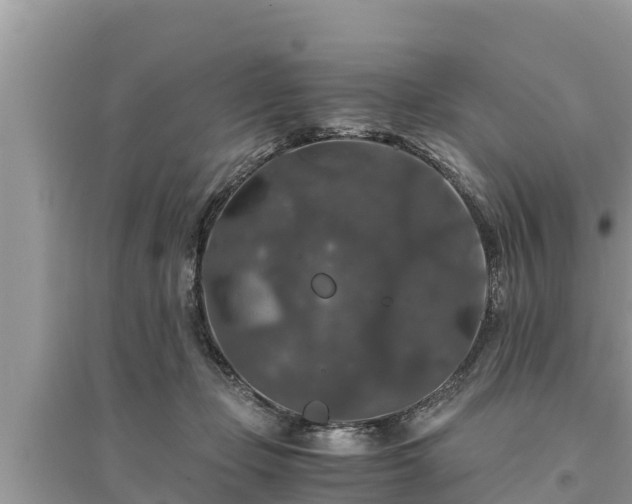 X0000095540365200712211353