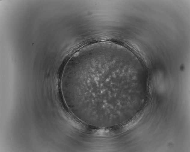 X0000095540366200712211353