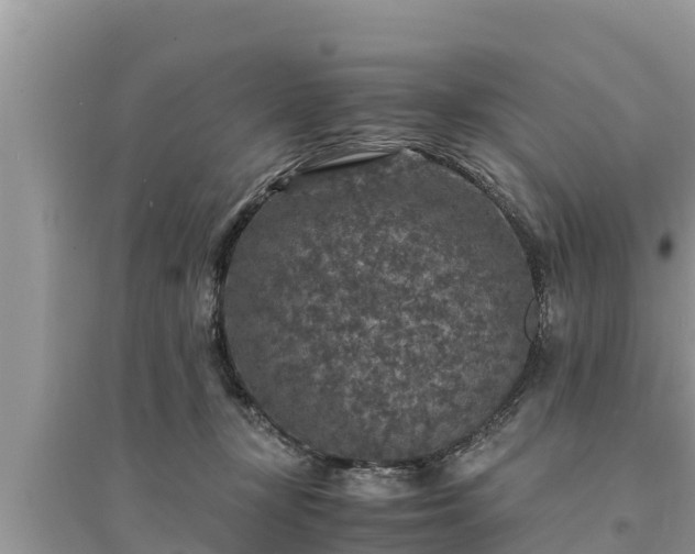 X0000095540367200712211353