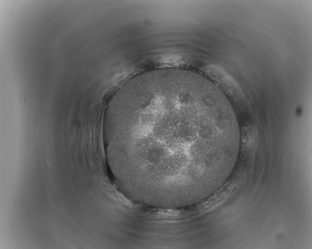 X0000095540369200712211353