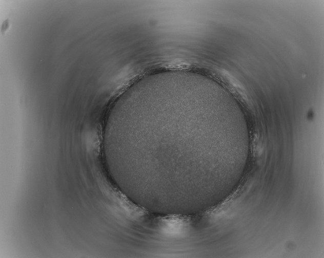 X0000095540370200712211353