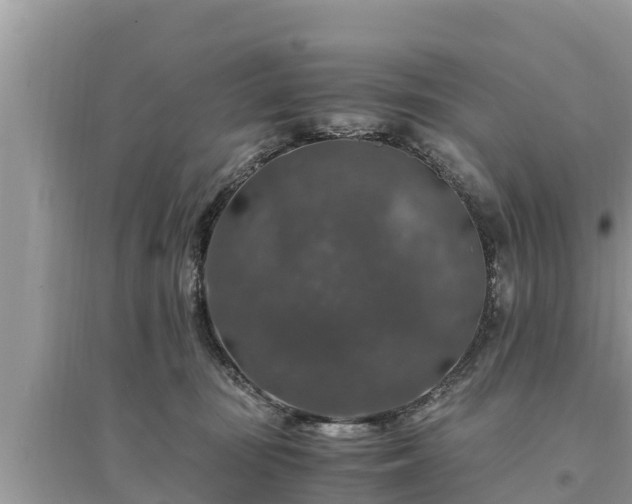 X0000095540371200712211353