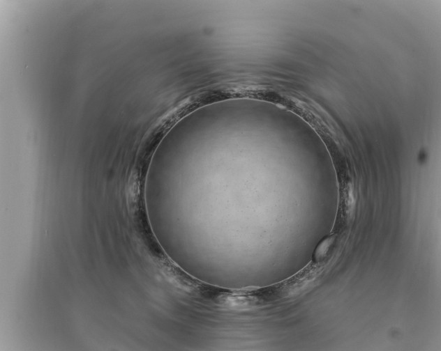 X0000095540372200712211353