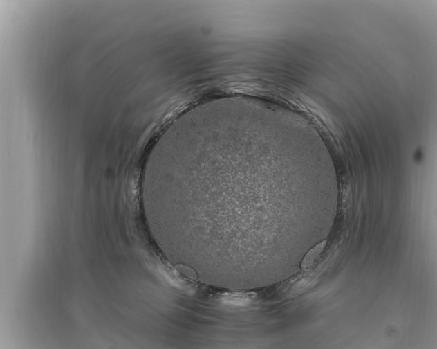 X0000095540373200712211353