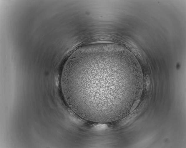 X0000095540374200712211353