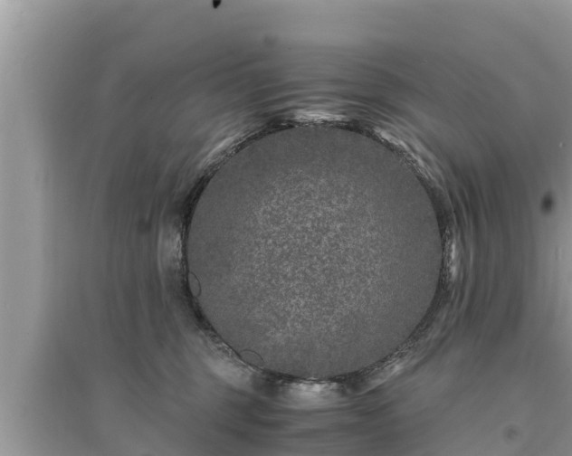 X0000095540375200712211353