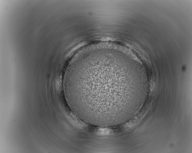 X0000095540376200712211353