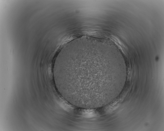 X0000095540377200712211353