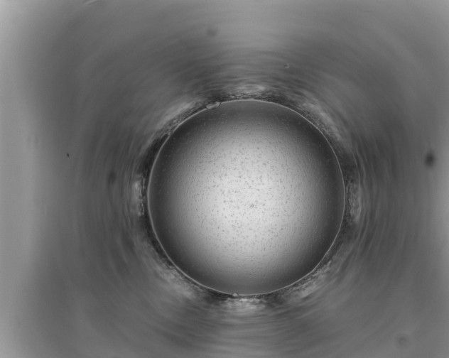 X0000095540378200712211353