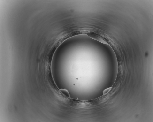 X0000095540379200712211353