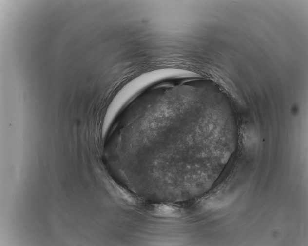 X0000095540380200712211353