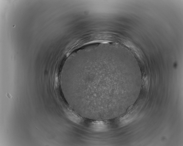 X0000095540381200712211353