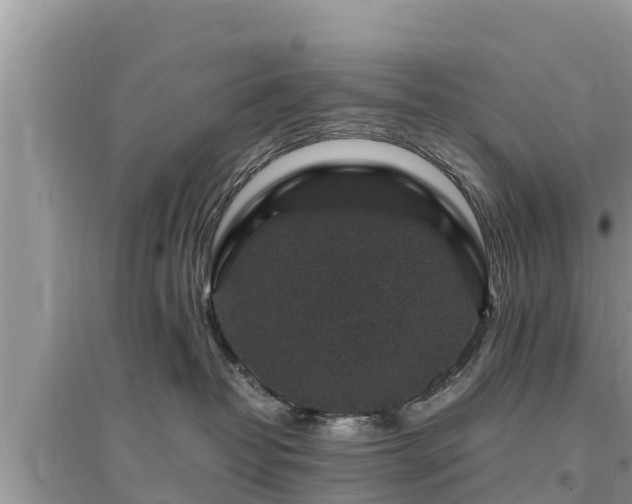 X0000095540382200712211353