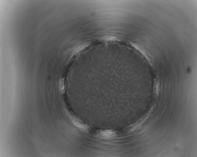 X0000095540383200712211353