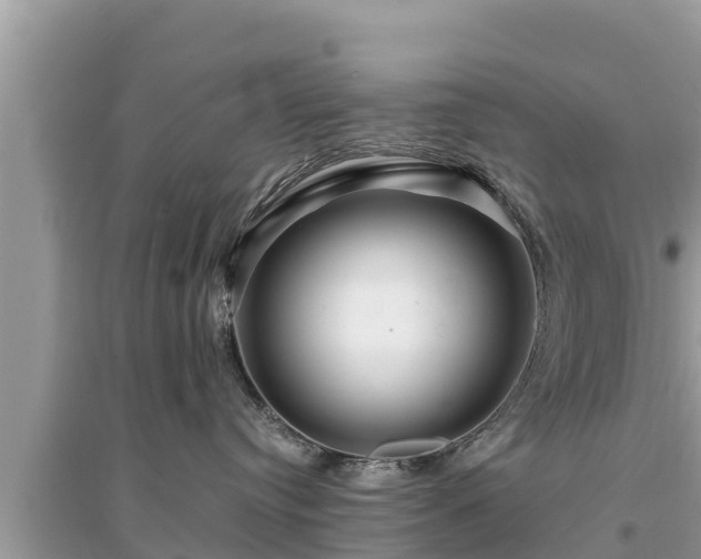 X0000095540384200712211353