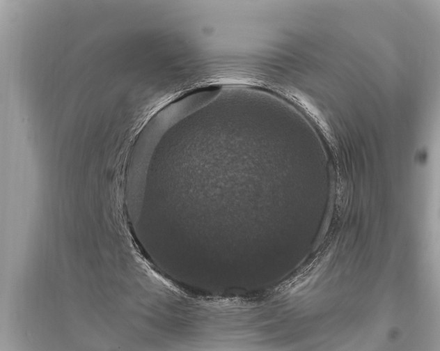 X0000095540385200712211352