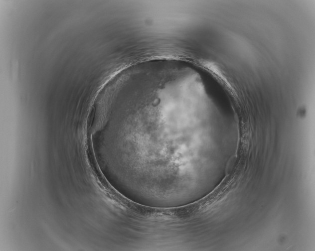 X0000095540386200712211352