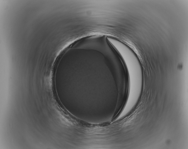 X0000095540387200712211352