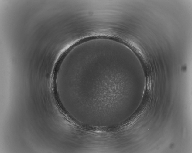 X0000095540388200712211352