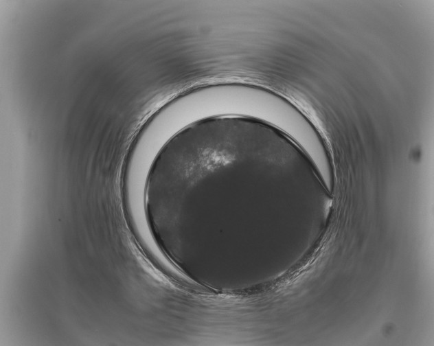 X0000095540389200712211352