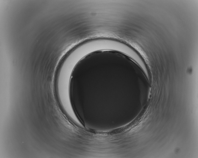 X0000095540391200712211352