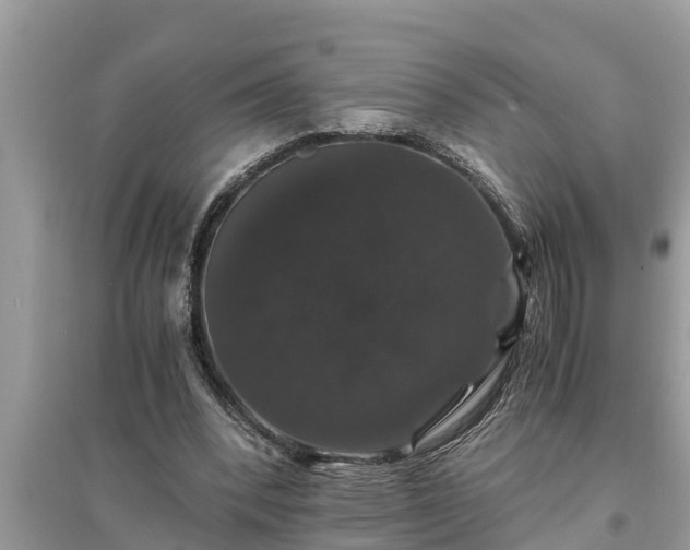 X0000095540392200712211352