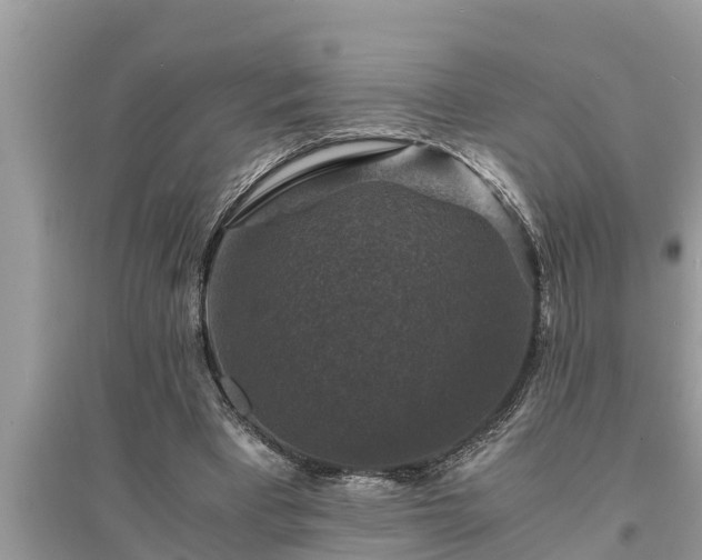 X0000095540393200712211352