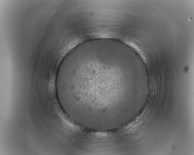 X0000095540394200712211352