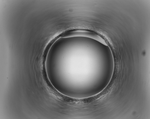 X0000095540395200712211352