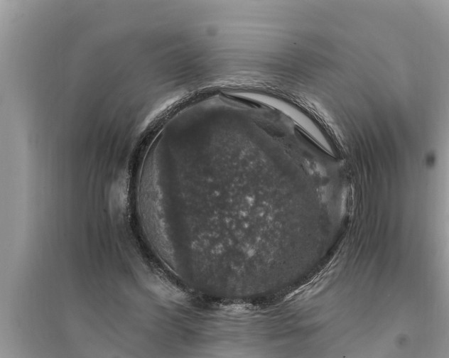 X0000095540396200712211352