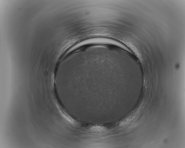 X0000095540397200712211352