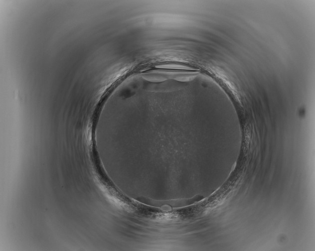 X0000095540398200712211352