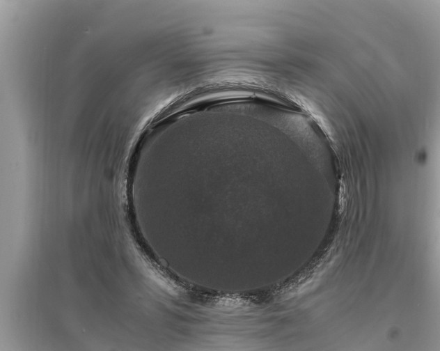 X0000095540399200712211352