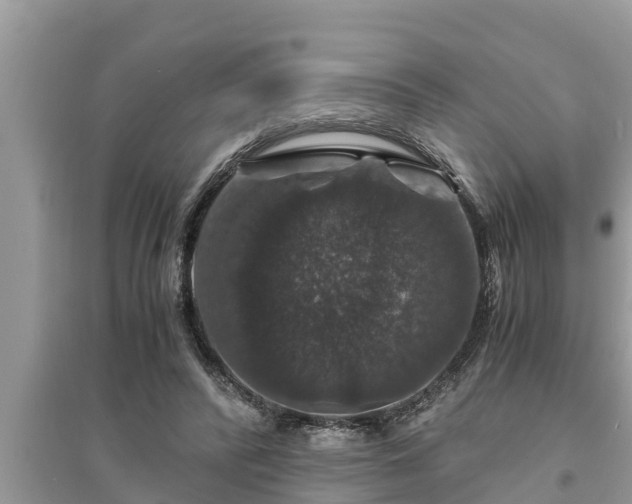 X0000095540400200712211352