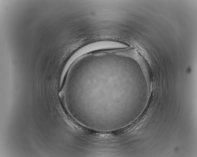 X0000095540401200712211352