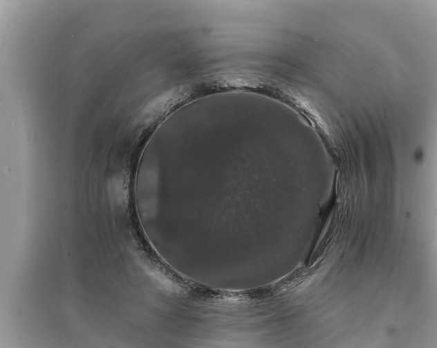 X0000095540402200712211352