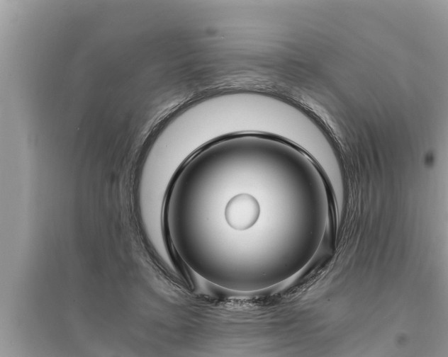 X0000095540403200712211352