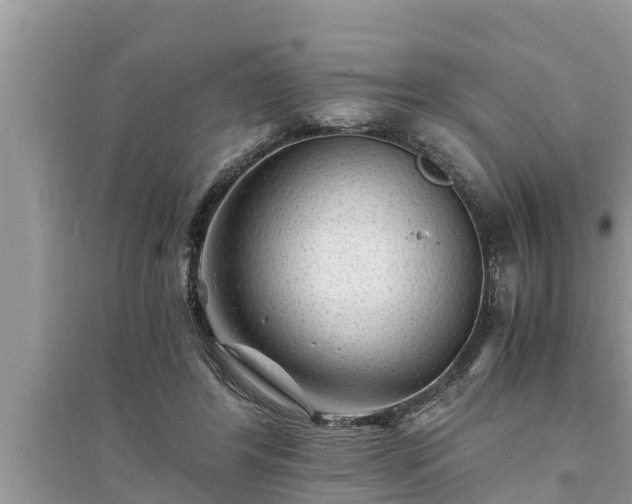 X0000095540404200712211352