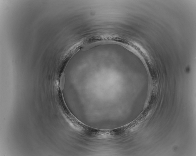 X0000095540405200712211352