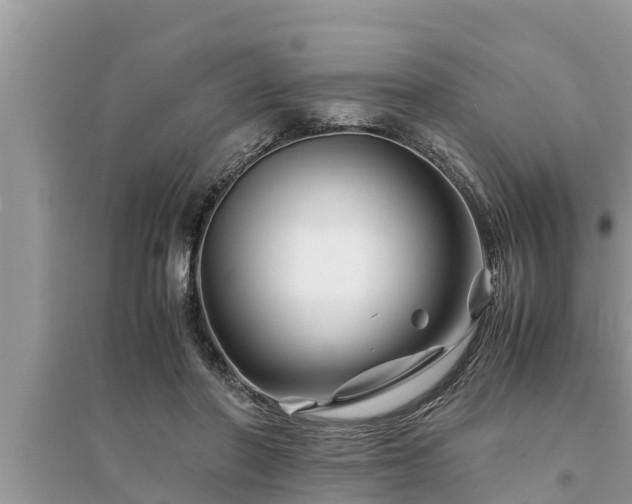 X0000095540406200712211352