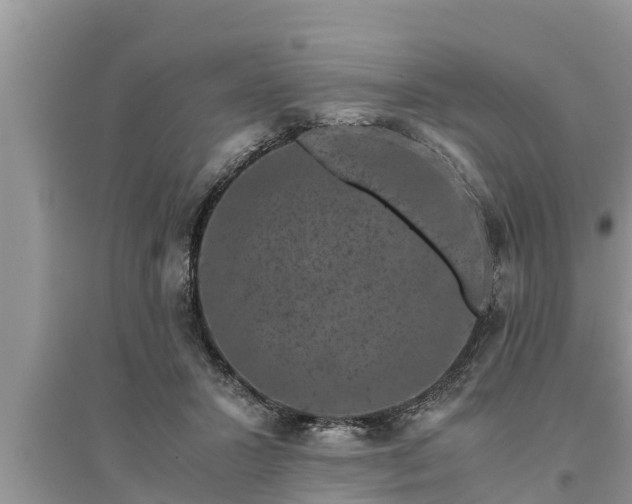 X0000095540407200712211352