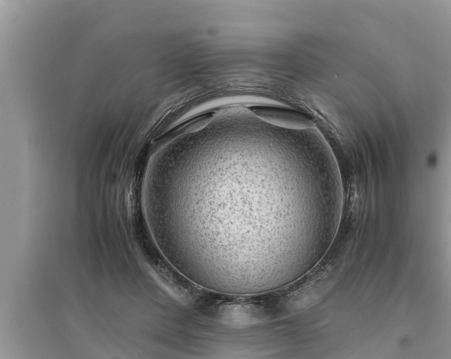 X0000095540408200712211352