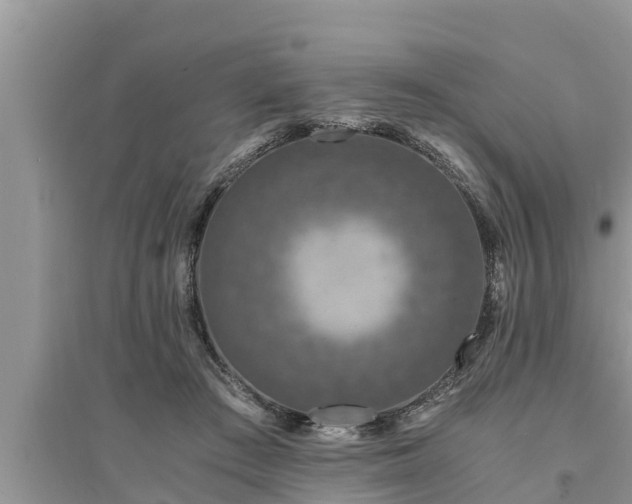 X0000095540409200712211352