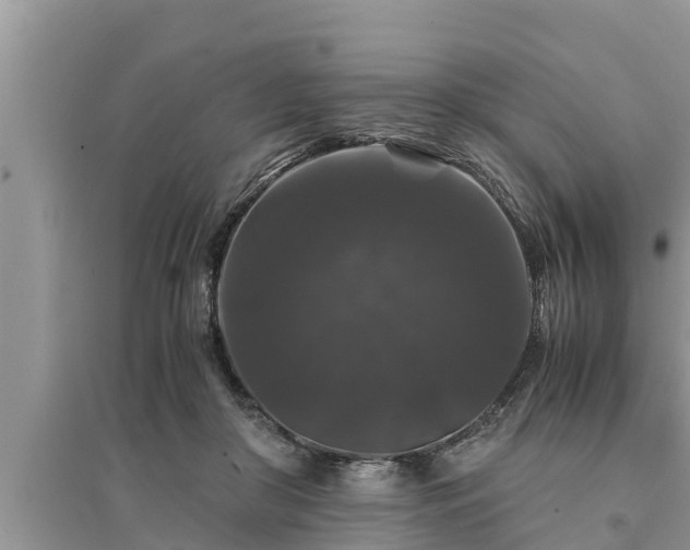 X0000095540410200712211352