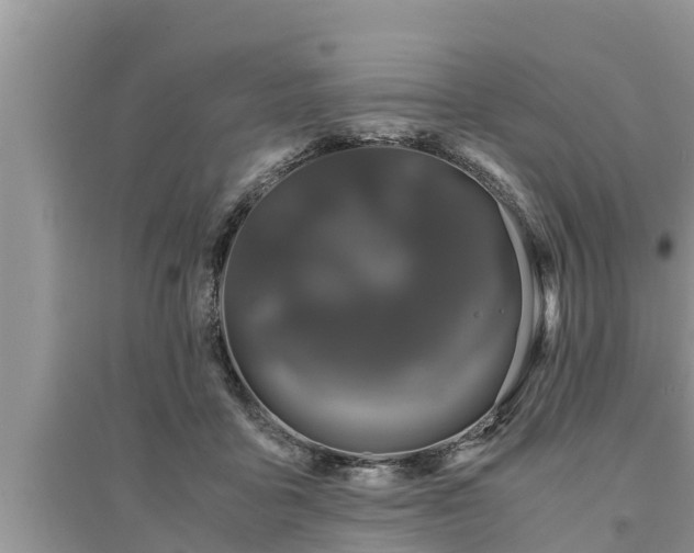 X0000095540411200712211352