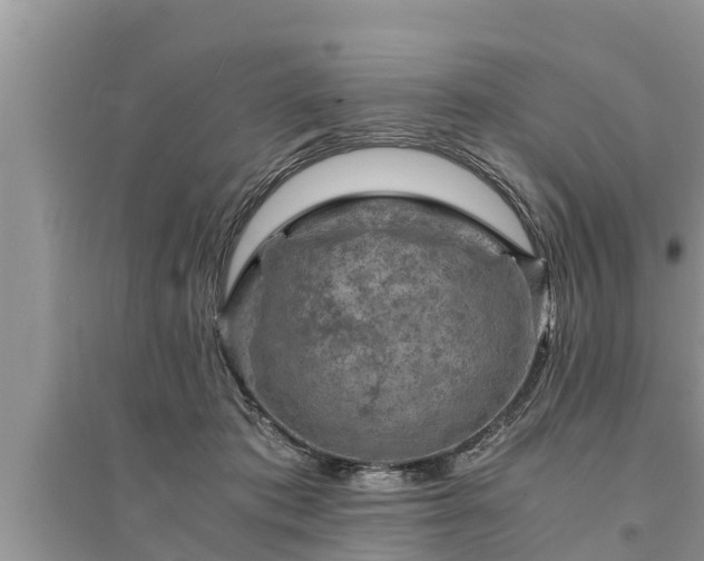 X0000095540413200712211352